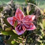 fleur origami