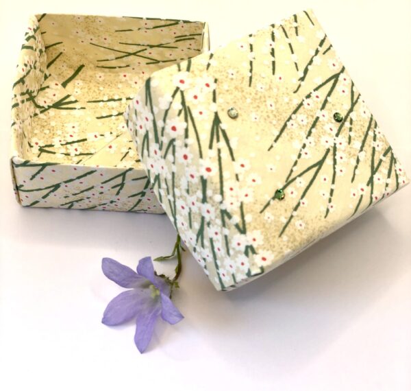 Boîte carrée en origami blanche et verte