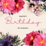 Fleurissez votre vie avec mes bouquets de papier de soie éternels