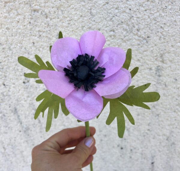 Anémone de papier de soie lilas