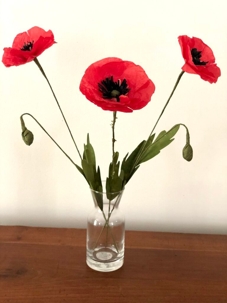 coquelicots de papier de soie