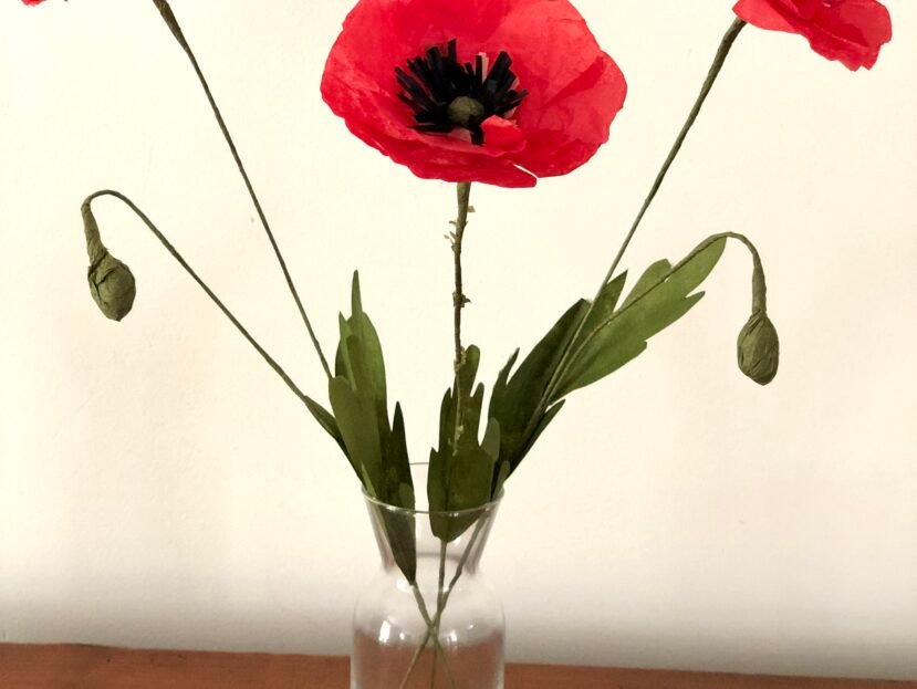 coquelicots de papier de soie