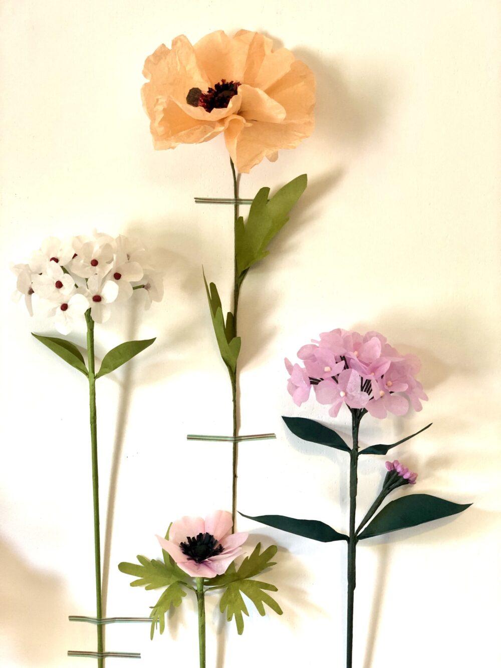 mur de fleurs