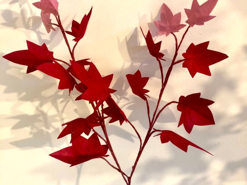 feuille d'érable rouge