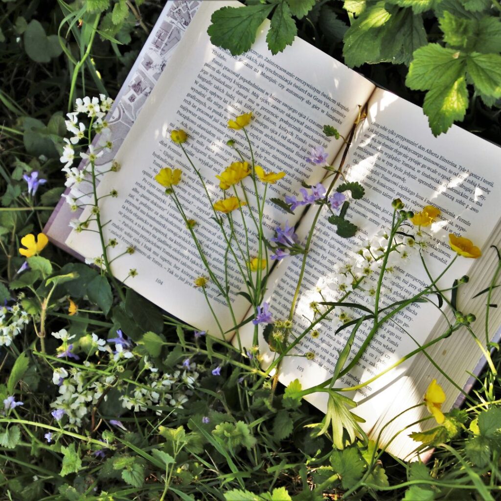 Photo livre et fleurs