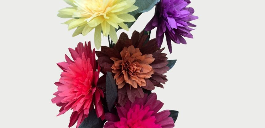 Les dahlias doubles