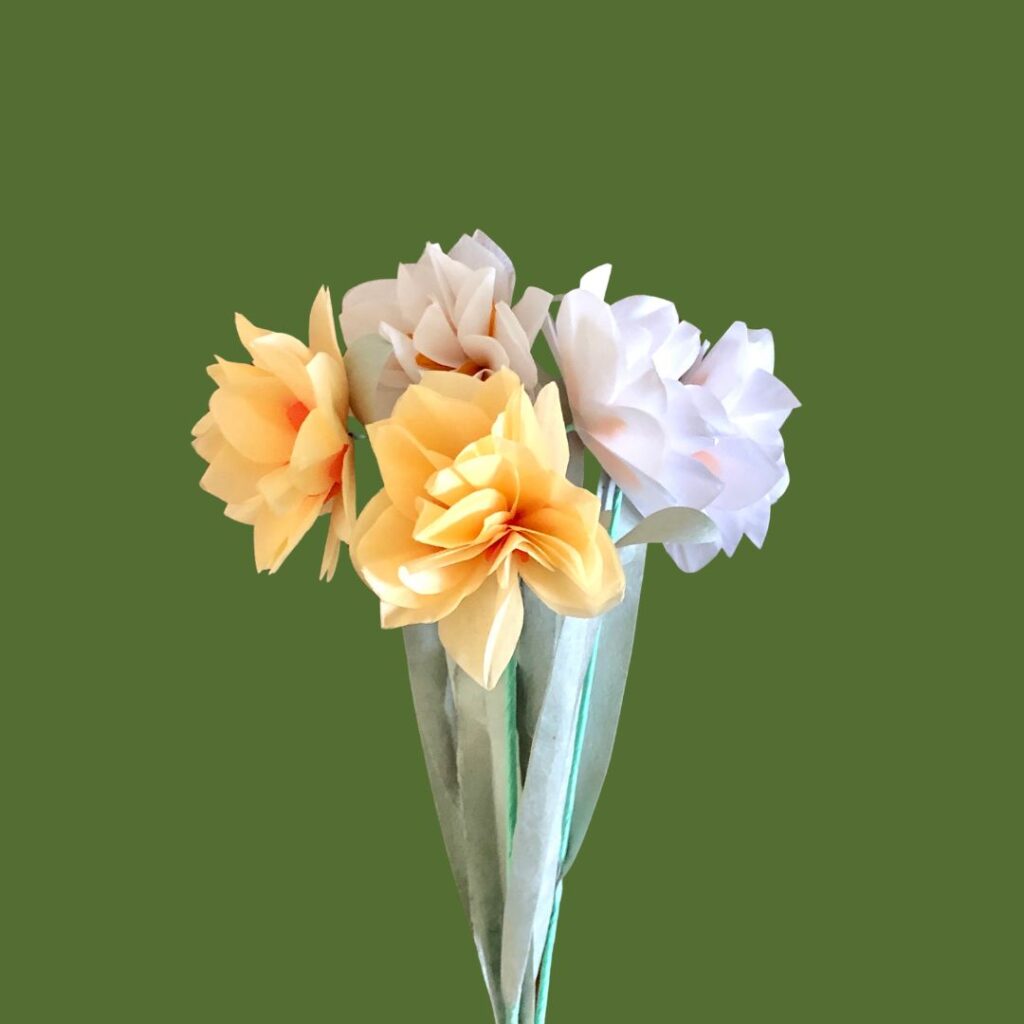 Bouquet de narcisses doubles de papier de soie