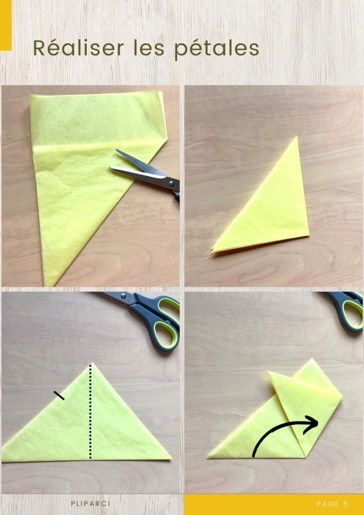 Tutoriel narcisse 2
