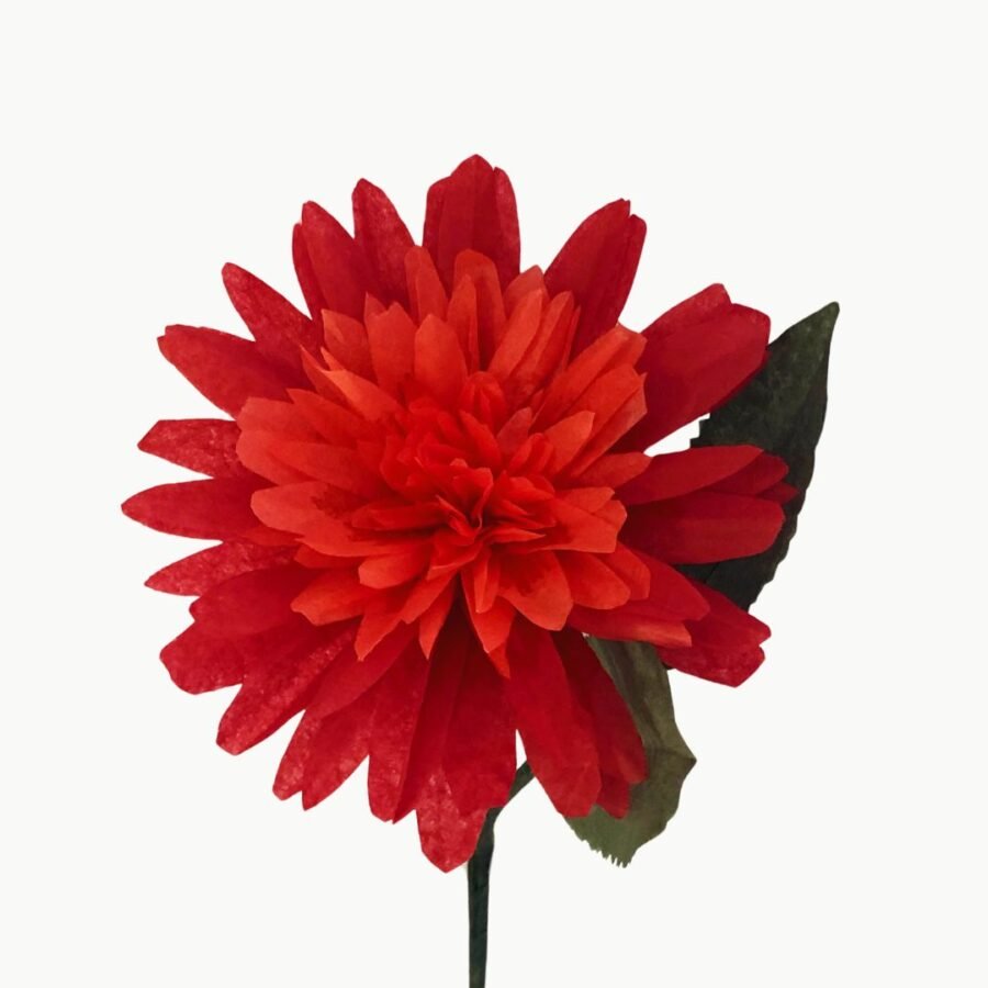 dahlia rouge en papier de soie