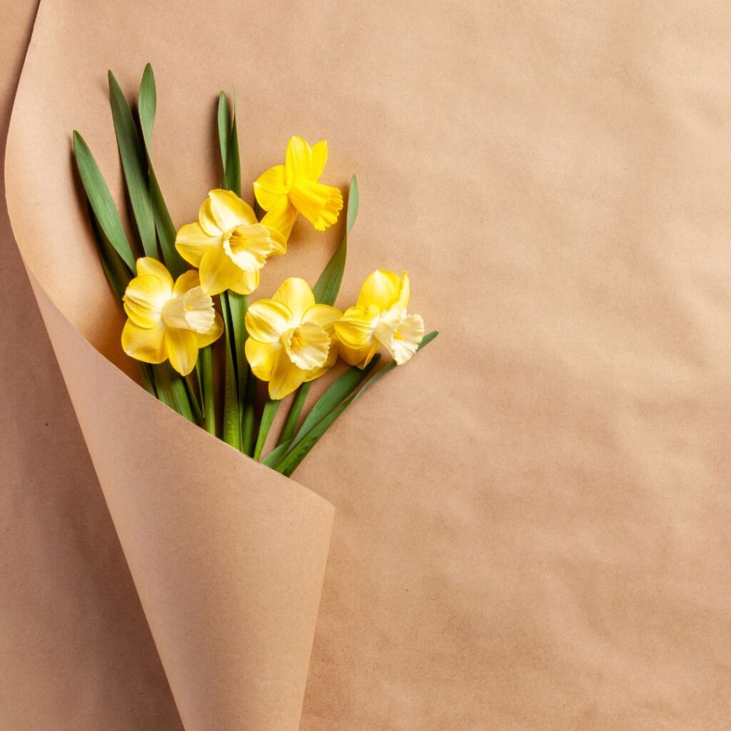 Bouquet de narcisses jaunes