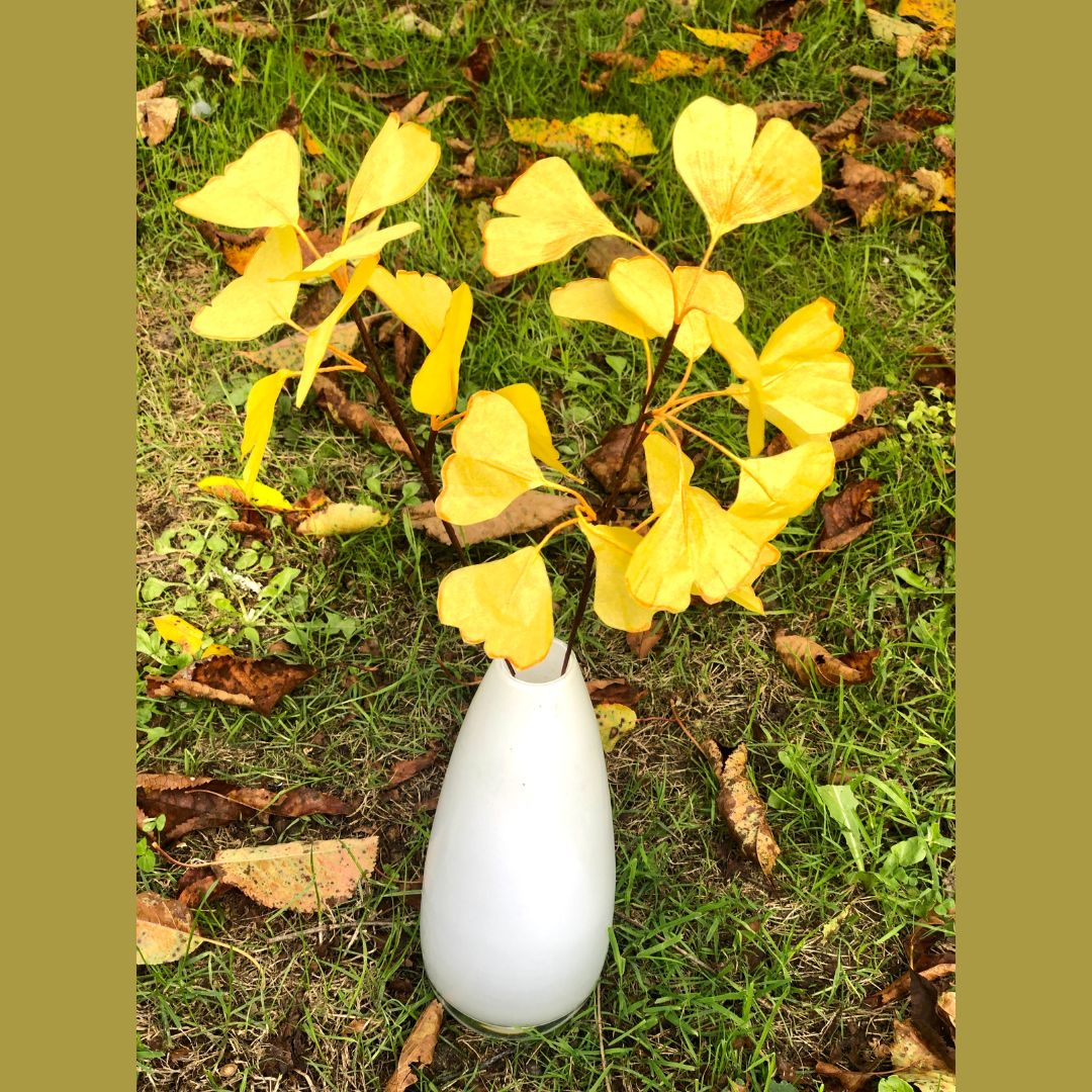 Branche de feuilles de ginko