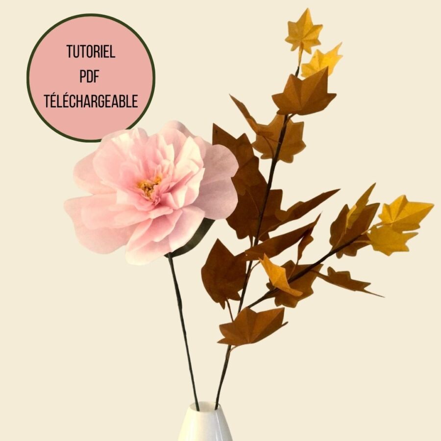 base tuto pdf érable