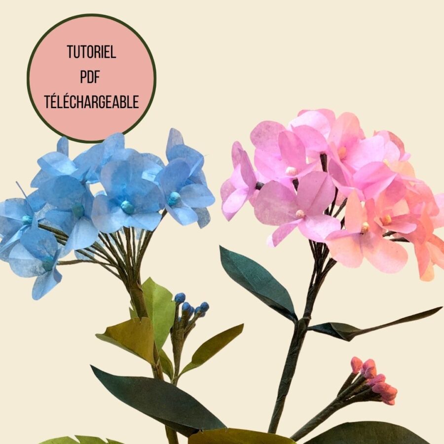 base tuto pdf hortensia