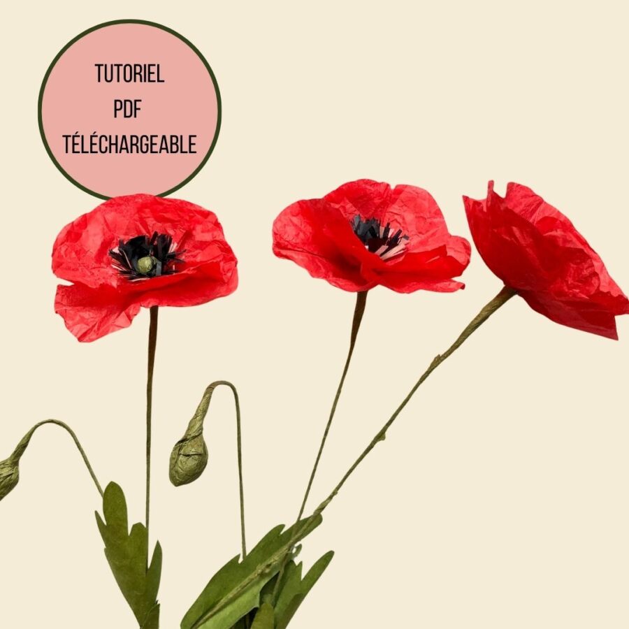 base tuto pdf coquelicot