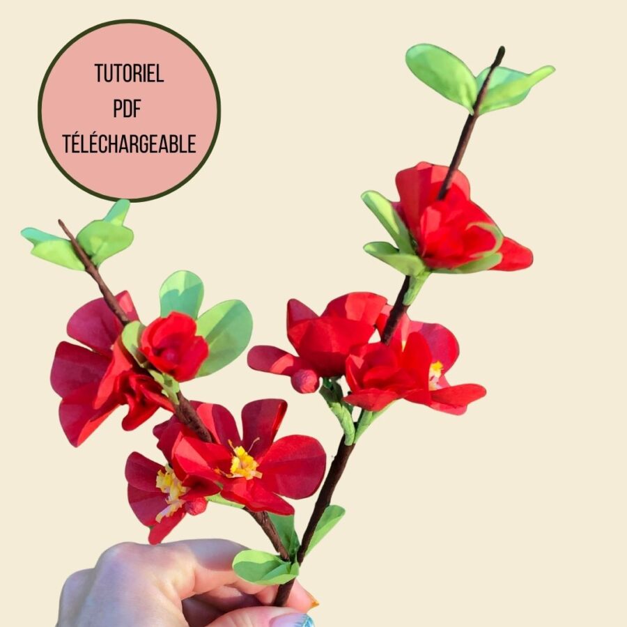 base tuto pdf cognassier