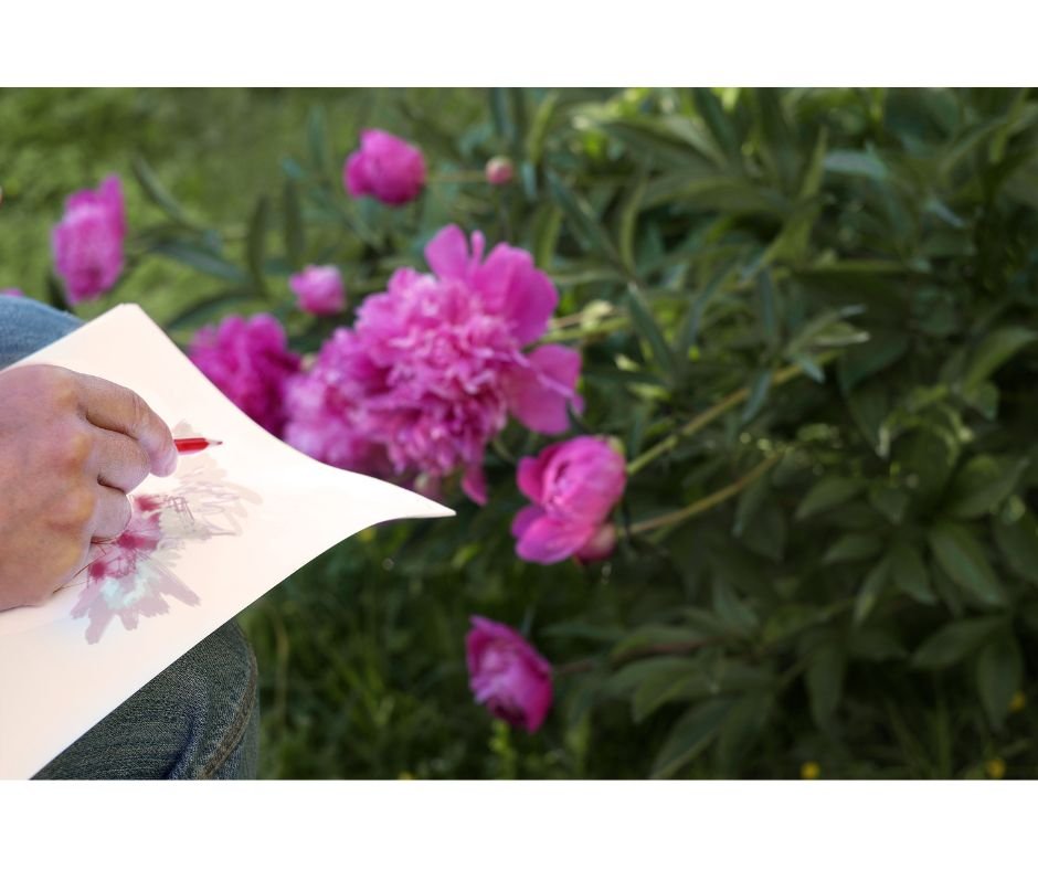 croquis observation des fleurs