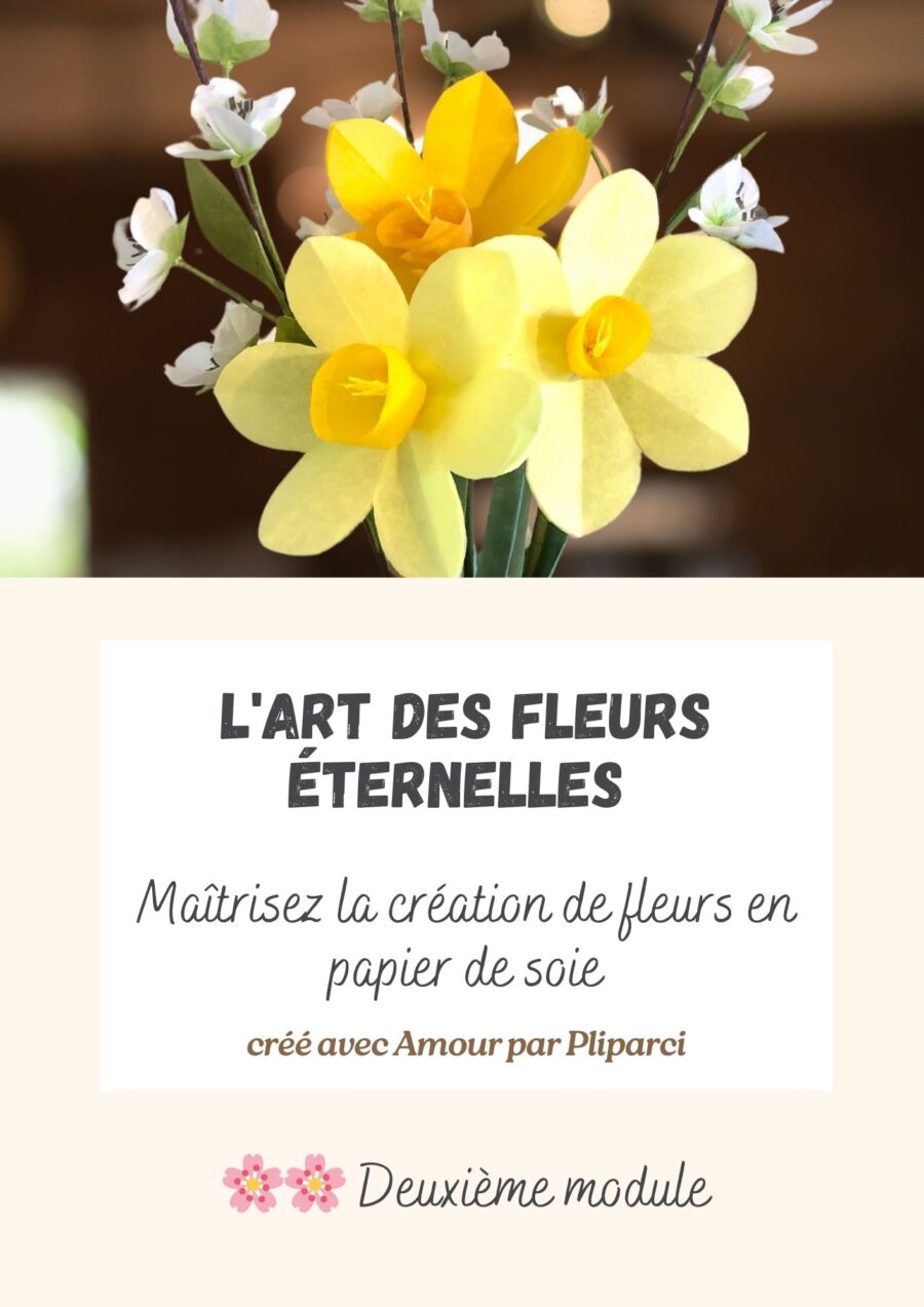 Formation digitale module 2