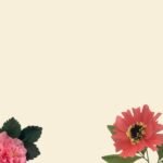 Les fleurs durables : pourquoi c’est tendance