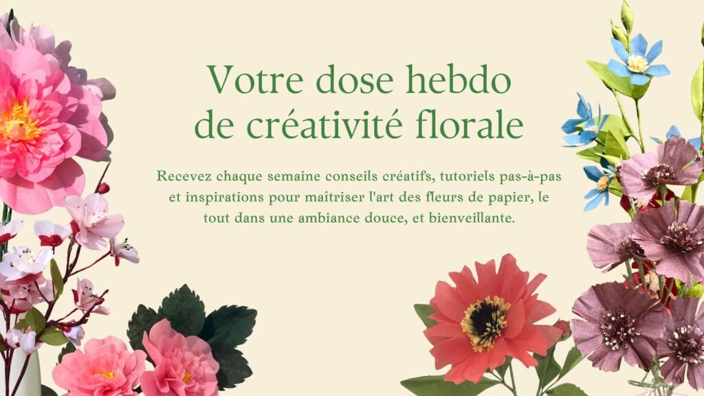 bannière newsletter